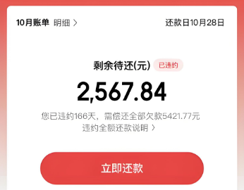 使用白条的最佳方法，了解这七种方法轻松实现资金周转