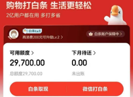 京东白条使用步骤靠谱吗？2025年专家建议和合规指引