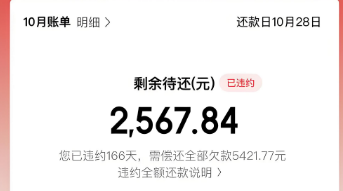 京东白条可以使用吗？2025年最新使用方法及注意事项