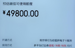 白条怎么用？深入剖析白条安全使用的方法和风险