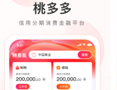 桃多多额度使用攻略，2025年最新揭秘技巧与案例分析