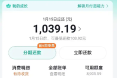 抖音月付额度可以使用吗？2025年最新十五个方法教你快速使用技巧