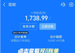 支付宝蚂蚁花呗使用全攻略，最新15种方法解析与风险警示