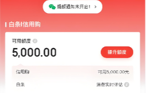 2025年京东白条怎么使用？13个正规方法实测分享