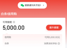 京东白条消费额度怎么套出来？2025年13个正规京东白条操作方法实测分享