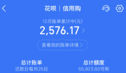 支付宝蚂蚁花呗使用如何安全？揭秘安全使用真相！