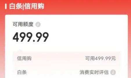 京东白条付费额度如何使用？最新十八个简单方法让你轻松搞定