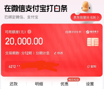 京东白条怎么使用？最新详细攻略与注意事项解析