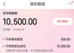 京东白条如何使用？揭秘十五个操作步骤