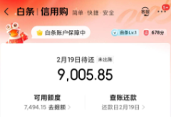 京东白条使用大揭秘：2026年最新五种高效操作方式，你不可不知！ 