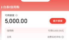 2026年京东白条使用 17 种实用方法，附避坑指南