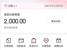 京东白条使用指南，2026年最新6大可靠方法教你应急操作