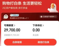 2026年最新京东白条使用17 种实用方法，附避坑指南