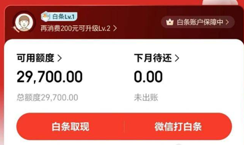 白条怎么使用？2026年简单五步教你轻松解锁你的白条资金