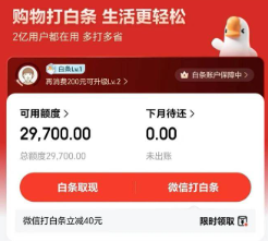 2026年京东白条操作15种实用方法，附避坑指南