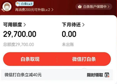 京东白条是什么？2026年最新白条和花呗的十七大区别，你都知道吗？